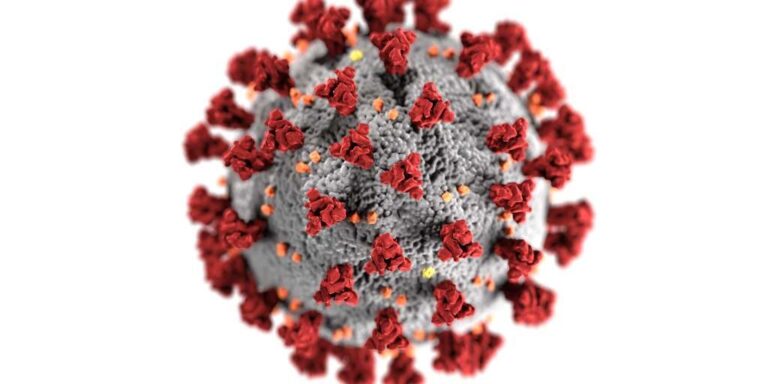 Coronavirus Pandemic: The Question of Why?